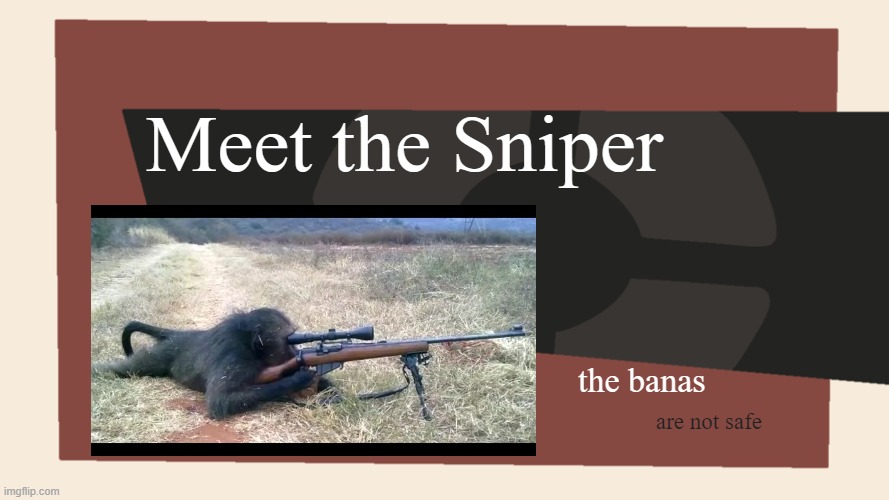 the banas are not safe | Meet the Sniper; the banas; are not safe | image tagged in meet the blank | made w/ Imgflip meme maker