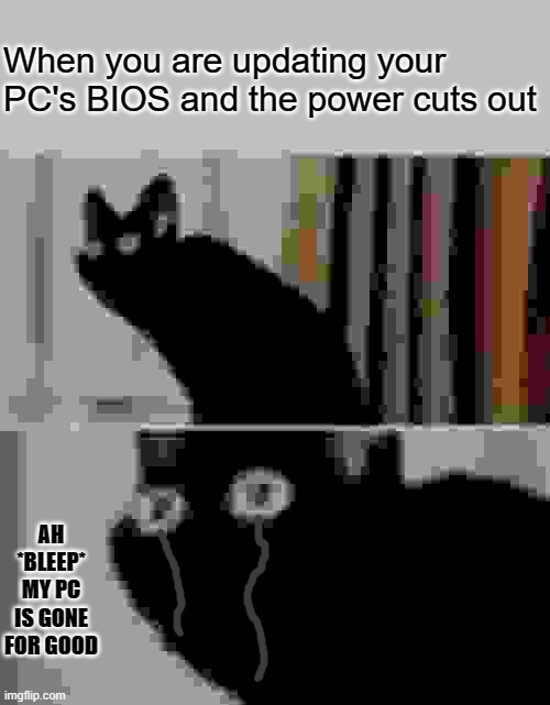 Oh No Black Cat | When you are updating your PC's BIOS and the power cuts out; AH *BLEEP* MY PC IS GONE FOR GOOD | image tagged in oh no black cat | made w/ Imgflip meme maker