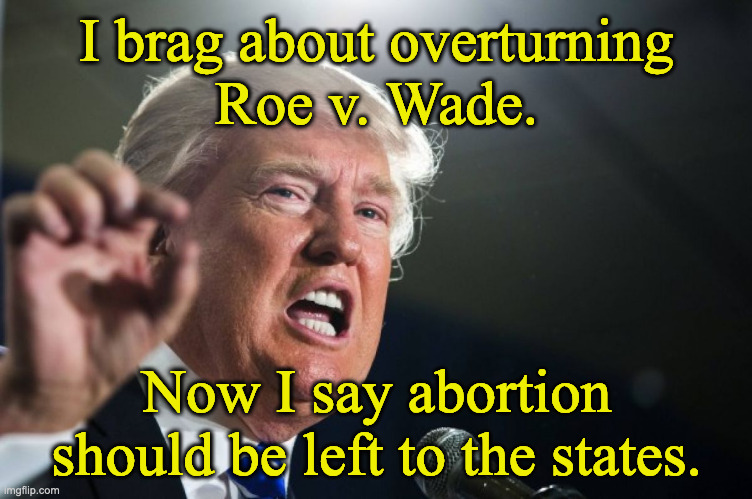 Trump on Abortion | I brag about overturning
Roe v. Wade. Now I say abortion should be left to the states. | image tagged in donald trump | made w/ Imgflip meme maker