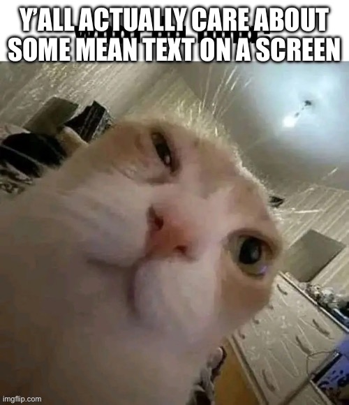 What da tuna? | Y’ALL ACTUALLY CARE ABOUT SOME MEAN TEXT ON A SCREEN | image tagged in what da tuna | made w/ Imgflip meme maker