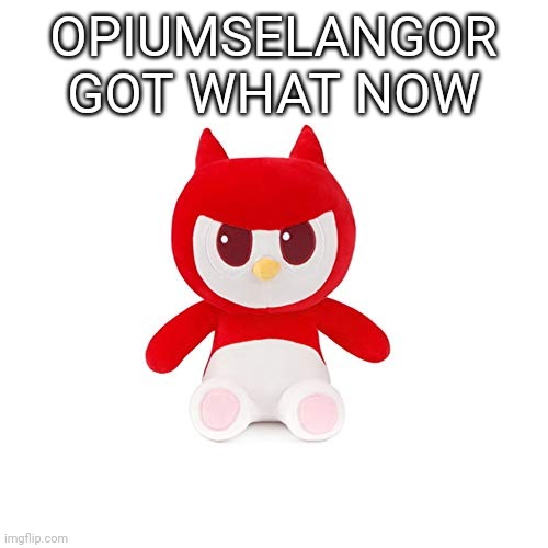 Zad | OPIUMSELANGOR GOT WHAT NOW | image tagged in da boi | made w/ Imgflip meme maker