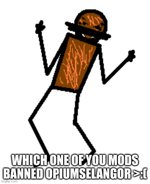 angy spdr | WHICH ONE OF YOU MODS BANNED OPIUMSELANGOR >:( | image tagged in angy spdr | made w/ Imgflip meme maker
