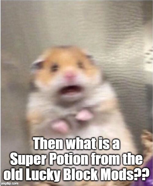 Scared Hamster | Then what is a Super Potion from the old Lucky Block Mods?? | image tagged in scared hamster | made w/ Imgflip meme maker