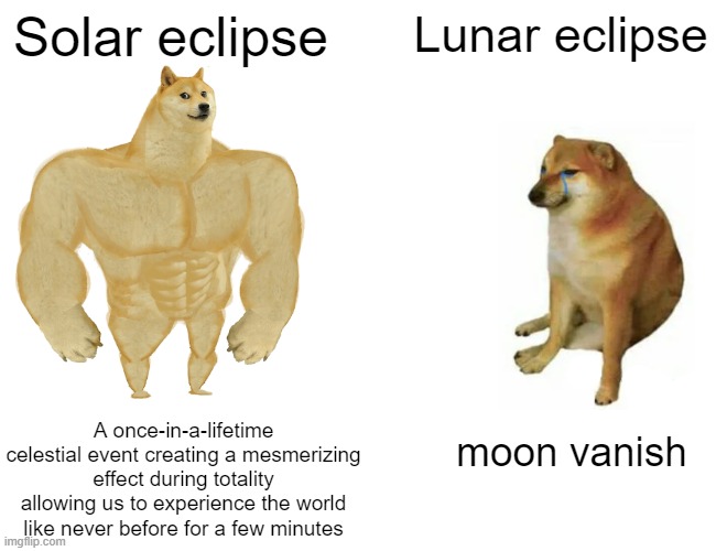 Happy eclipse day fellas | Solar eclipse; Lunar eclipse; A once-in-a-lifetime celestial event creating a mesmerizing effect during totality allowing us to experience the world like never before for a few minutes; moon vanish | image tagged in memes,buff doge vs cheems,solar eclipse | made w/ Imgflip meme maker