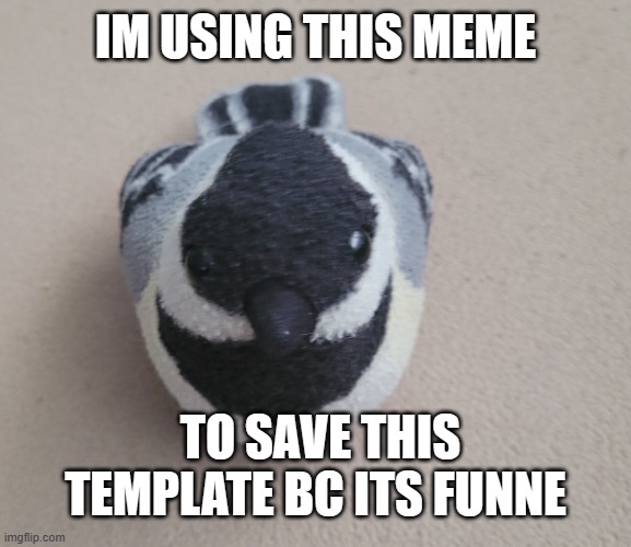 Chickadee | IM USING THIS MEME; TO SAVE THIS TEMPLATE BC ITS FUNNE | image tagged in chickadee | made w/ Imgflip meme maker