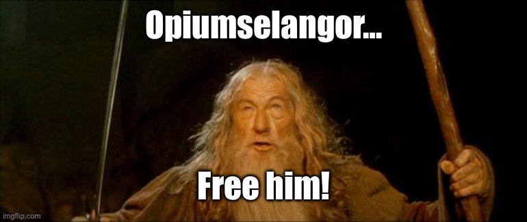 I unbanned him dw | Opiumselangor…; Free him! | image tagged in gandalf you shall not pass | made w/ Imgflip meme maker
