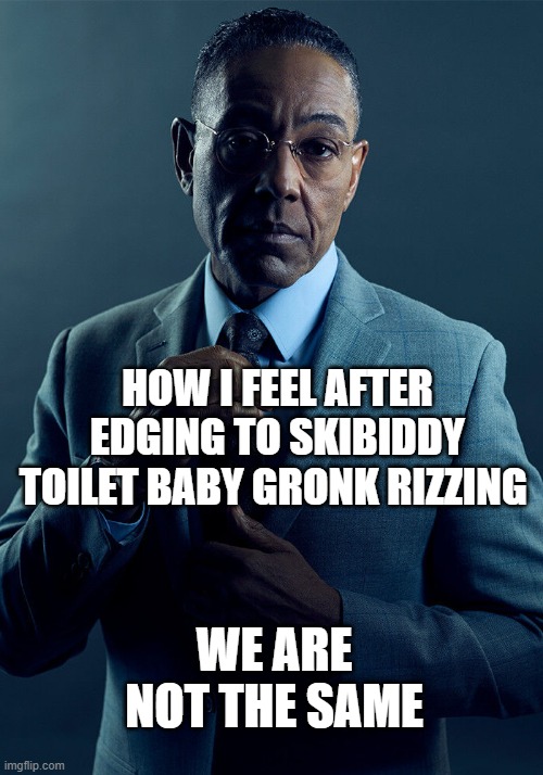 Gus Fring we are not the same | HOW I FEEL AFTER EDGING TO SKIBIDDY TOILET BABY GRONK RIZZING; WE ARE NOT THE SAME | image tagged in gus fring we are not the same | made w/ Imgflip meme maker