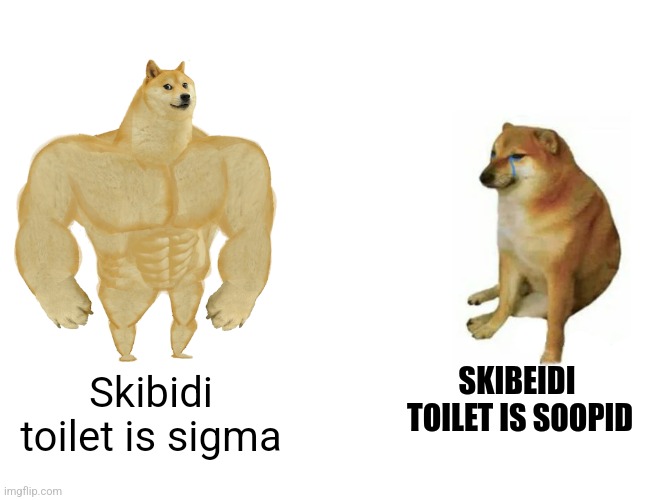 The truth | SKIBEIDI  TOILET IS SOOPID; Skibidi toilet is sigma | image tagged in memes,buff doge vs cheems,skibidi toilet | made w/ Imgflip meme maker