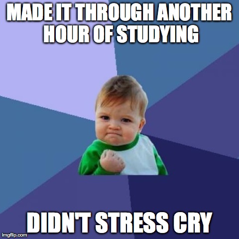 Success Kid | MADE IT THROUGH ANOTHER HOUR OF STUDYING DIDN'T STRESS CRY | image tagged in memes,success kid | made w/ Imgflip meme maker