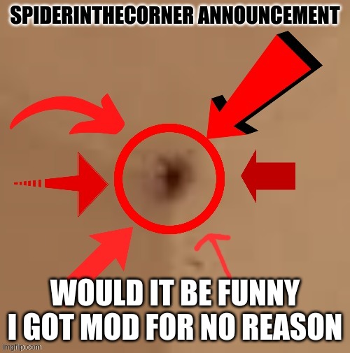 spiderinthecorner announcement | WOULD IT BE FUNNY I GOT MOD FOR NO REASON | image tagged in spiderinthecorner announcement | made w/ Imgflip meme maker