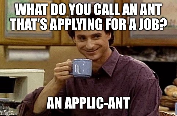 Dad Joke | WHAT DO YOU CALL AN ANT THAT’S APPLYING FOR A JOB? AN APPLIC-ANT | image tagged in dad joke,ants | made w/ Imgflip meme maker