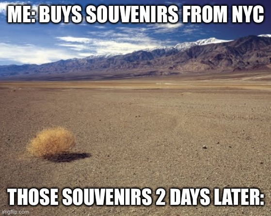 This is what happens every time I go to nyc and buy a souvenir | ME: BUYS SOUVENIRS FROM NYC; THOSE SOUVENIRS 2 DAYS LATER: | image tagged in desert tumbleweed | made w/ Imgflip meme maker