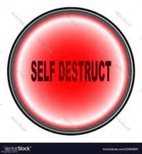 Self destruct button | image tagged in self destruct button | made w/ Imgflip meme maker