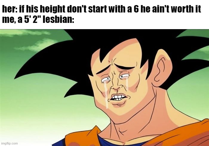 damn | her: if his height don't start with a 6 he ain't worth it
me, a 5' 2" lesbian: | image tagged in goku sad | made w/ Imgflip meme maker