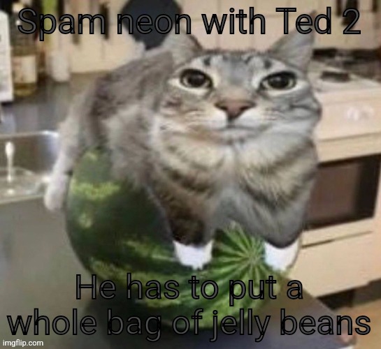 funny car | Spam neon with Ted 2; He has to put a whole bag of jelly beans | image tagged in funny car | made w/ Imgflip meme maker