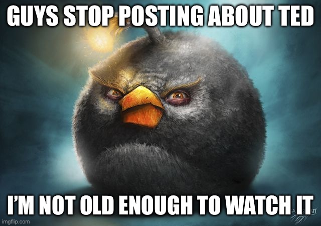 angry birds bomb | GUYS STOP POSTING ABOUT TED I’M NOT OLD ENOUGH TO WATCH IT | image tagged in angry birds bomb | made w/ Imgflip meme maker