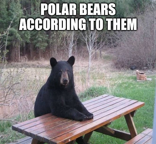 Black Bear | POLAR BEARS ACCORDING TO THEM | image tagged in black bear | made w/ Imgflip meme maker