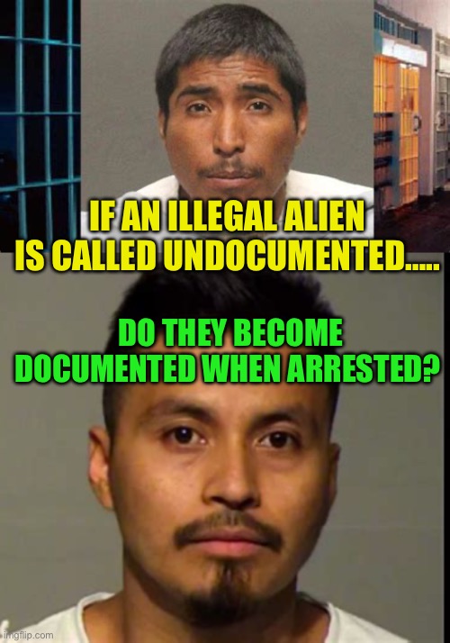 Document and sentence illegal criminals. | IF AN ILLEGAL ALIEN IS CALLED UNDOCUMENTED….. DO THEY BECOME DOCUMENTED WHEN ARRESTED? | image tagged in gifs,illegal aliens,border wall,criminals,democrats,liberal logic | made w/ Imgflip meme maker