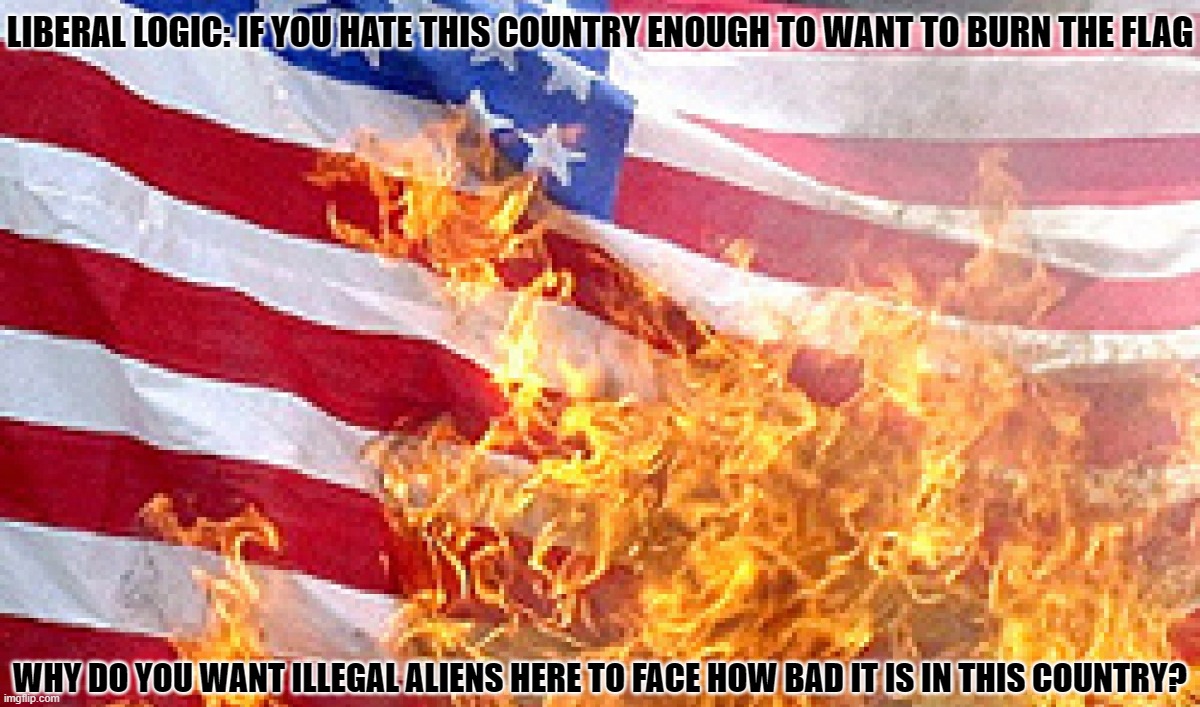 Those Who Hate the Country | LIBERAL LOGIC: IF YOU HATE THIS COUNTRY ENOUGH TO WANT TO BURN THE FLAG; WHY DO YOU WANT ILLEGAL ALIENS HERE TO FACE HOW BAD IT IS IN THIS COUNTRY? | image tagged in burning flag,hate america | made w/ Imgflip meme maker