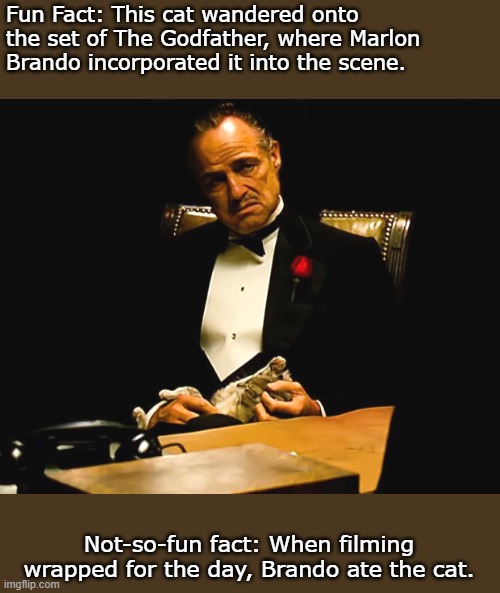 HUNGRY! | Fun Fact: This cat wandered onto the set of The Godfather, where Marlon Brando incorporated it into the scene. Not-so-fun fact: When filming wrapped for the day, Brando ate the cat. | image tagged in godfather | made w/ Imgflip meme maker
