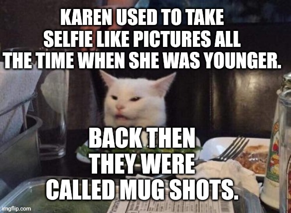 Smudge that darn cat | KAREN USED TO TAKE SELFIE LIKE PICTURES ALL THE TIME WHEN SHE WAS YOUNGER. BACK THEN THEY WERE CALLED MUG SHOTS. | image tagged in smudge that darn cat | made w/ Imgflip meme maker