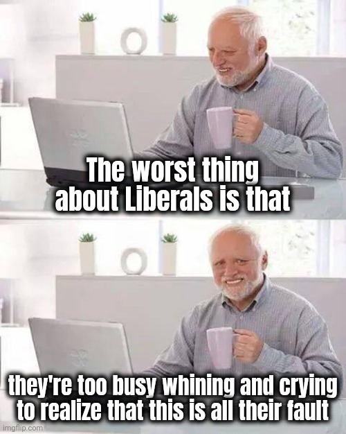 Enough with the bad choices | The worst thing about Liberals is that; they're too busy whining and crying to realize that this is all their fault | image tagged in hide the pain harold,joe biden,what were you thinking,politicians suck,liberal logic,discovering something that doesn t exist | made w/ Imgflip meme maker