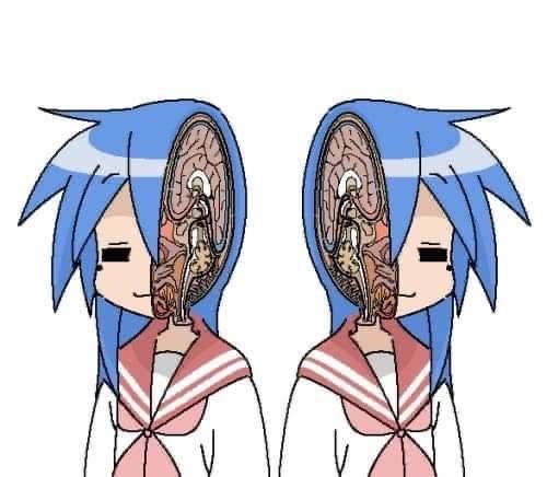 Lobotomy Blank Meme Template