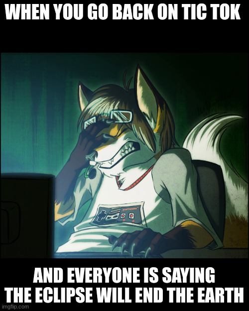 do you are have stoopid | WHEN YOU GO BACK ON TIC TOK; AND EVERYONE IS SAYING THE ECLIPSE WILL END THE EARTH | image tagged in furry facepalm | made w/ Imgflip meme maker