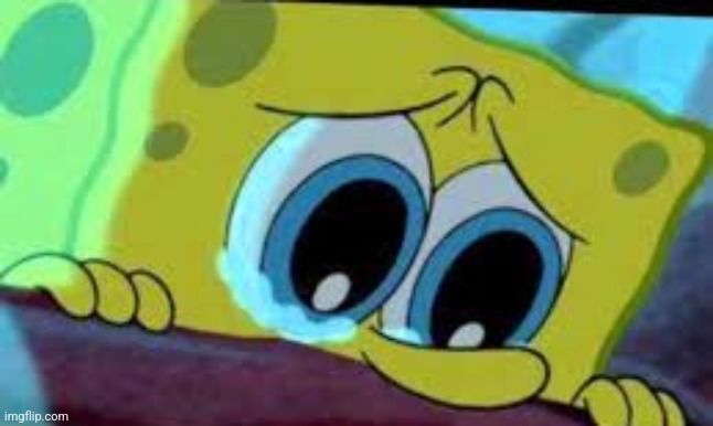 crying spongebob | image tagged in crying spongebob | made w/ Imgflip meme maker