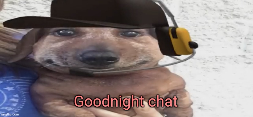 We do a little trolling | Goodnight chat | image tagged in chucklenuts | made w/ Imgflip meme maker