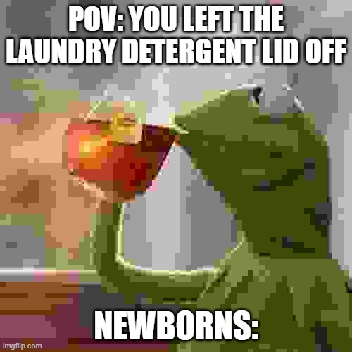 But That's None Of My Business Meme | POV: YOU LEFT THE LAUNDRY DETERGENT LID OFF; NEWBORNS: | image tagged in memes,but that's none of my business,kermit the frog | made w/ Imgflip meme maker
