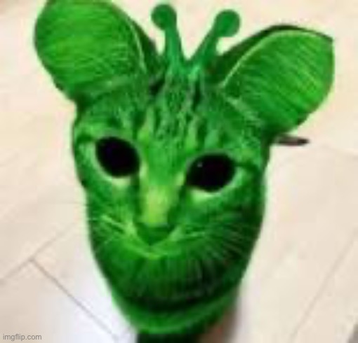 alien cat | image tagged in alien cat | made w/ Imgflip meme maker