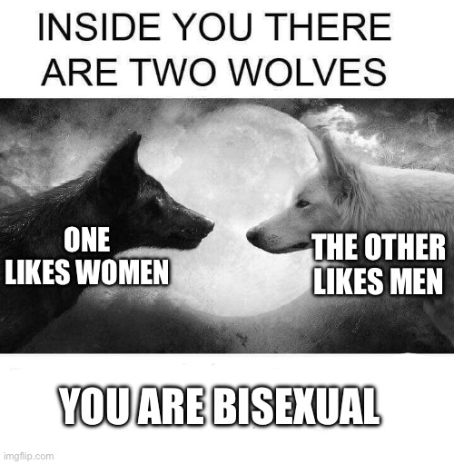 Inside you there are two wolves | THE OTHER LIKES MEN; ONE LIKES WOMEN; YOU ARE BISEXUAL | image tagged in inside you there are two wolves | made w/ Imgflip meme maker