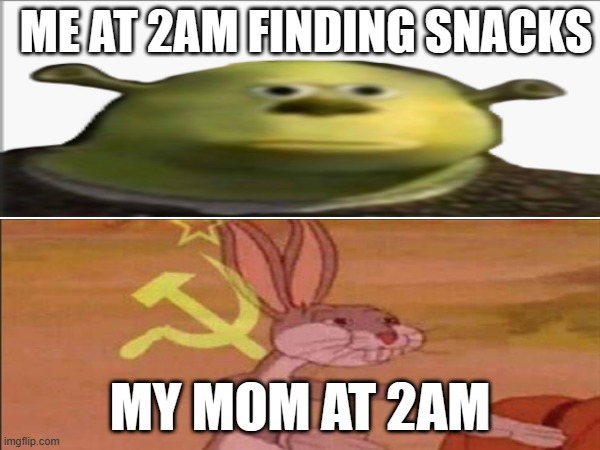 2am meme | ME AT 2AM FINDING SNACKS; MY MOM AT 2AM | image tagged in memes | made w/ Imgflip meme maker