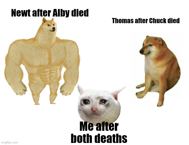Buff Doge vs. Cheems | Newt after Alby died; Thomas after Chuck died; Me after both deaths | image tagged in memes,buff doge vs cheems | made w/ Imgflip meme maker