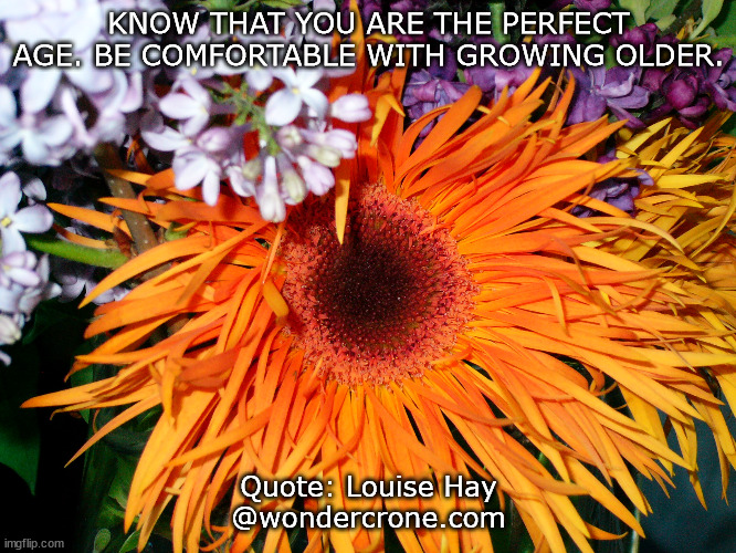 Perfect Age | KNOW THAT YOU ARE THE PERFECT AGE. BE COMFORTABLE WITH GROWING OLDER. Quote: Louise Hay
@wondercrone.com | image tagged in wondercrone,womenswisdom,undecadeofhealthyaging | made w/ Imgflip meme maker