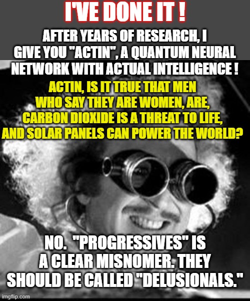 Mad Scientist | I'VE DONE IT ! AFTER YEARS OF RESEARCH, I GIVE YOU "ACTIN", A QUANTUM NEURAL NETWORK WITH ACTUAL INTELLIGENCE ! ACTIN, IS IT TRUE THAT MEN WHO SAY THEY ARE WOMEN, ARE, CARBON DIOXIDE IS A THREAT TO LIFE, AND SOLAR PANELS CAN POWER THE WORLD? NO.  "PROGRESSIVES" IS A CLEAR MISNOMER. THEY SHOULD BE CALLED "DELUSIONALS." | image tagged in mad scientist | made w/ Imgflip meme maker