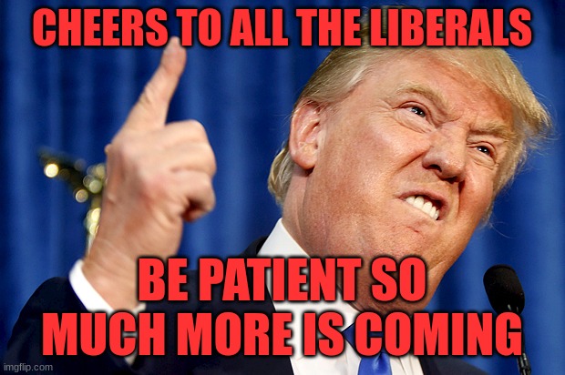To Libs | CHEERS TO ALL THE LIBERALS; BE PATIENT SO MUCH MORE IS COMING | image tagged in donald trump,politics | made w/ Imgflip meme maker