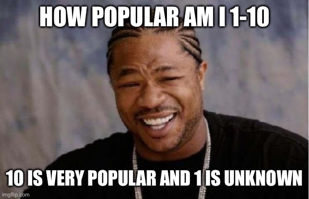 Yo Dawg Heard You | HOW POPULAR AM I 1-10; 10 IS VERY POPULAR AND 1 IS UNKNOWN | image tagged in memes,yo dawg heard you | made w/ Imgflip meme maker