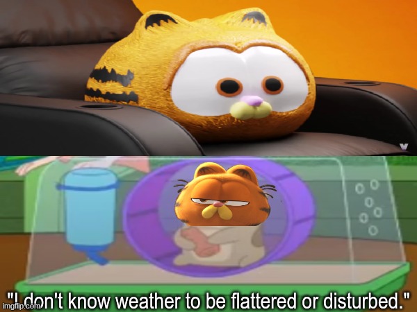 Garfield popcorn bucket | "I don't know weather to be flattered or disturbed." | image tagged in memes,funny,garfield,movies,hamster and gretel | made w/ Imgflip meme maker