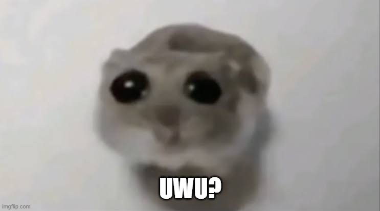 UWU | UWU? | image tagged in sad hamster | made w/ Imgflip meme maker