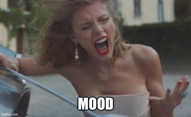 taylor swift | MOOD | image tagged in taylor swift | made w/ Imgflip meme maker