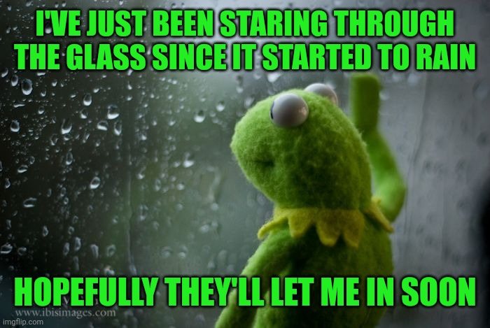 kermit window | I'VE JUST BEEN STARING THROUGH THE GLASS SINCE IT STARTED TO RAIN; HOPEFULLY THEY'LL LET ME IN SOON | image tagged in kermit window | made w/ Imgflip meme maker