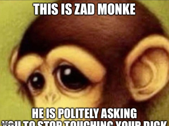 zad monkey | image tagged in zad monkey | made w/ Imgflip meme maker