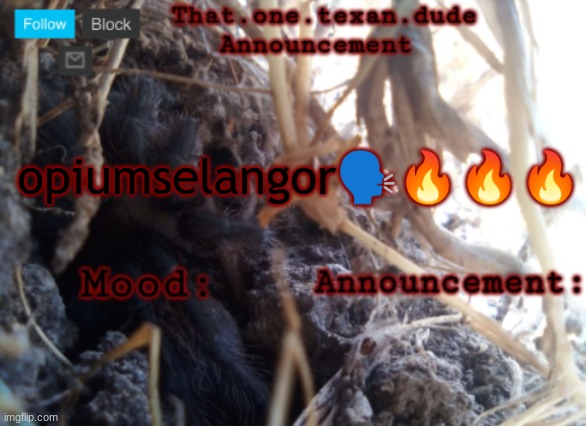 THE that.one.texan.dude announcement template | opiumselangor🗣🔥🔥🔥 | image tagged in the that one texan dude announcement template | made w/ Imgflip meme maker