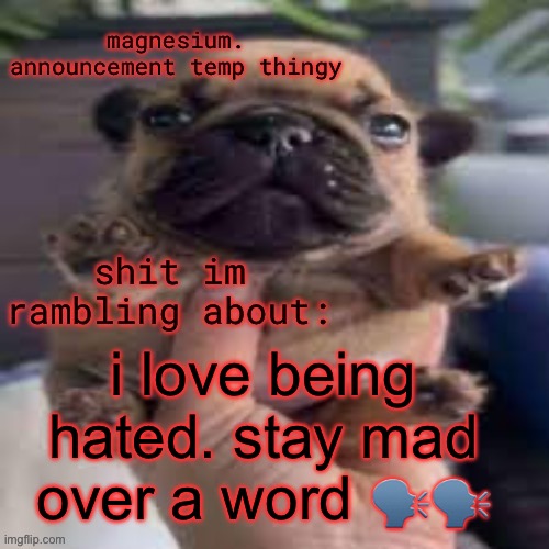 opiumselangor | i love being hated. stay mad over a word 🗣️🗣️ | image tagged in pug temp | made w/ Imgflip meme maker