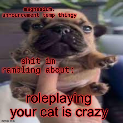 pug temp | roleplaying your cat is crazy | image tagged in pug temp | made w/ Imgflip meme maker