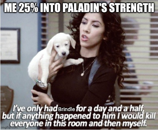 Rosa and Arlo meme | ME 25% INTO PALADIN'S STRENGTH; Brindle | image tagged in rosa and arlo meme | made w/ Imgflip meme maker