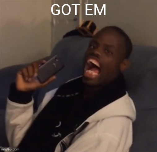 GOT EM | GOT EM | image tagged in got em | made w/ Imgflip meme maker