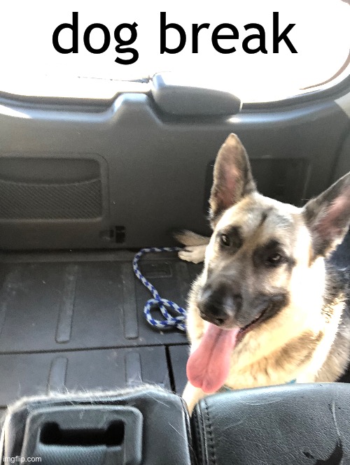 dog break | made w/ Imgflip meme maker
